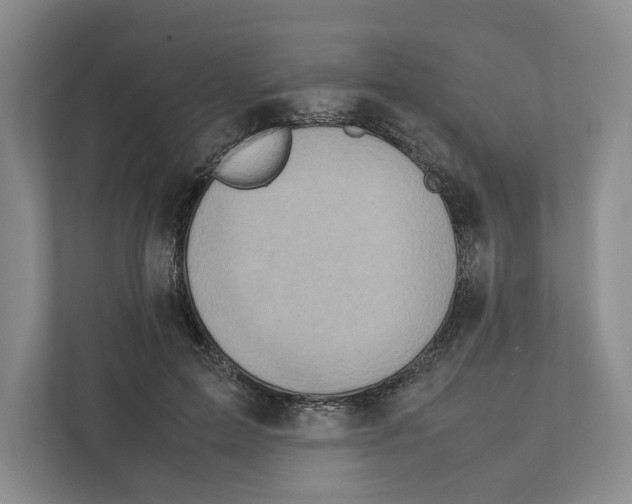 X0000111810599200908201112