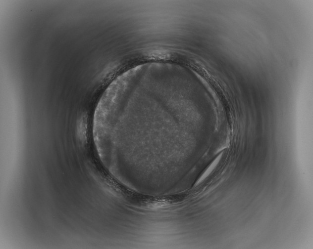 X0000111810600200908201112