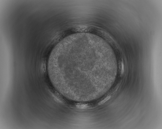 X0000111810602200908201112