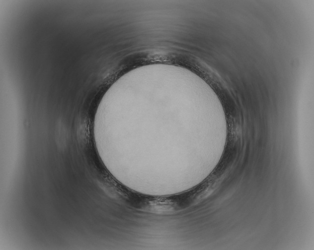 X0000111810603200908201112