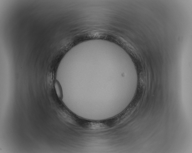 X0000111810605200908201112