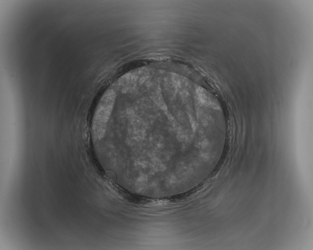 X0000111810609200908201112