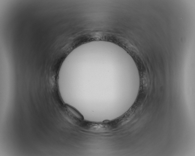 X0000111810611200908201112