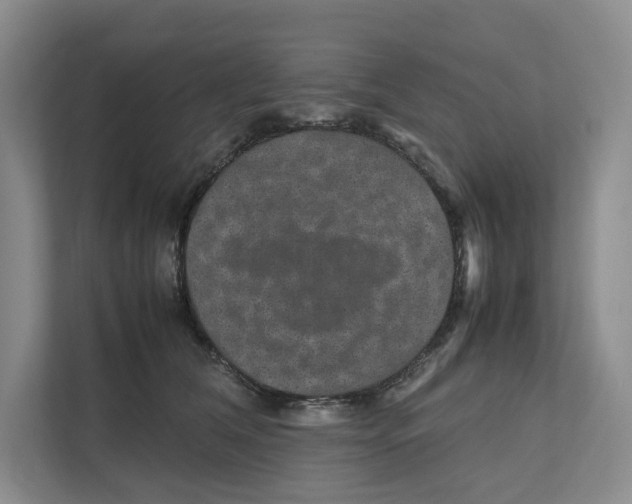 X0000111810612200908201112