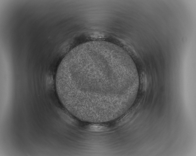 X0000111810614200908201112