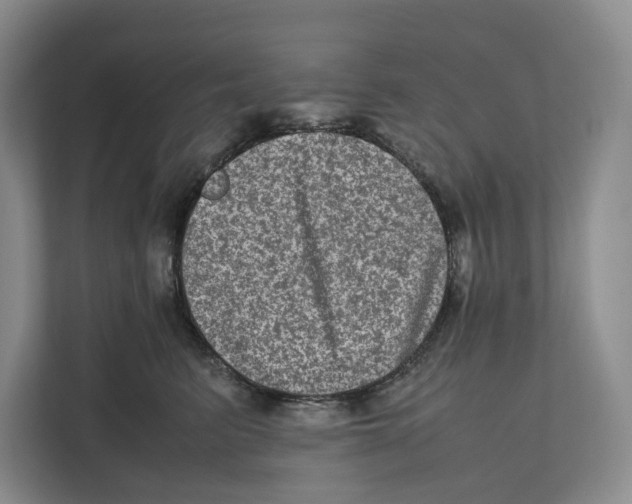 X0000111810615200908201112