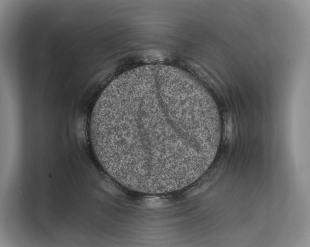 X0000111810616200908201112