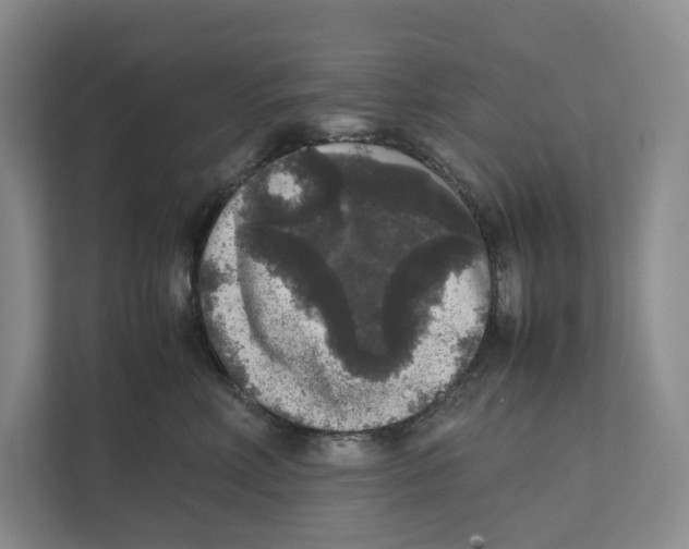 X0000111810618200908201112