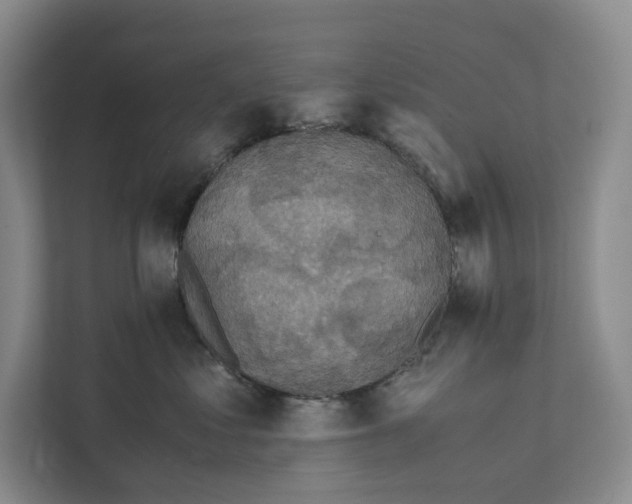 X0000111810621200908201112