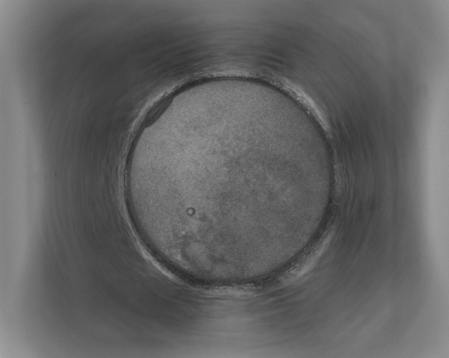 X0000111810625200908201111