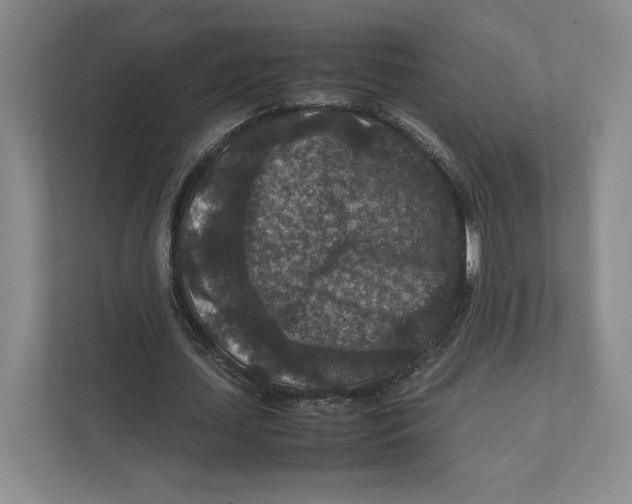 X0000111810627200908201111