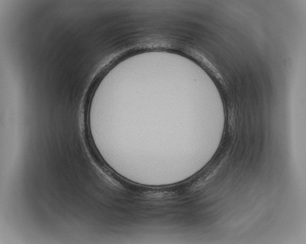 X0000111810629200908201111