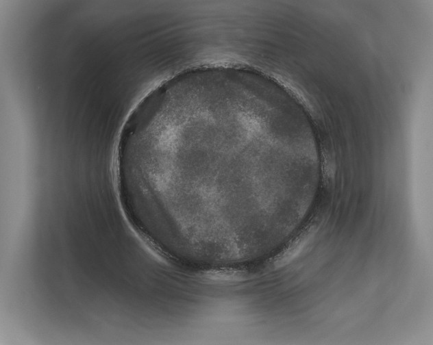 X0000111810630200908201111