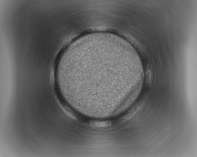 X0000111810638200908201111