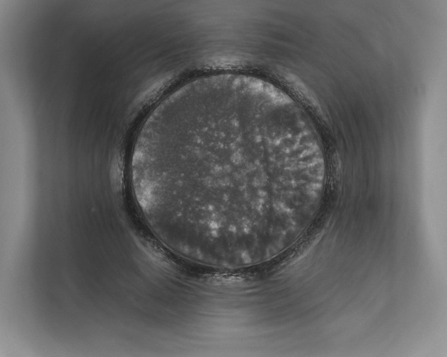 X0000111810640200908201111