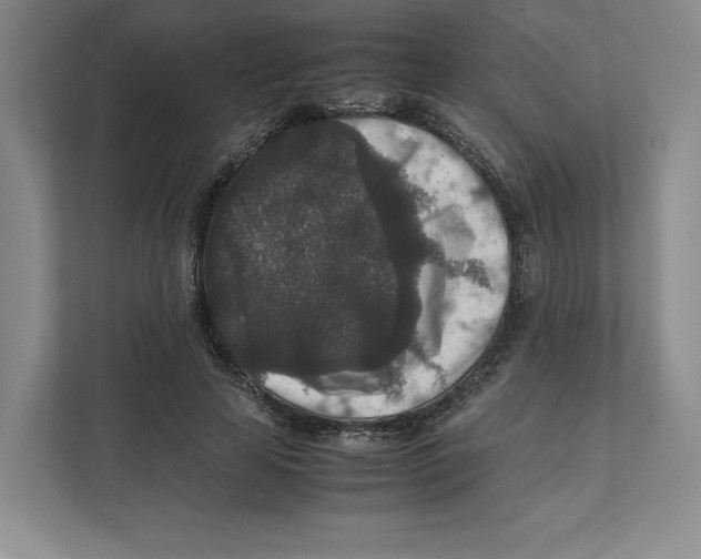X0000111810641200908201111