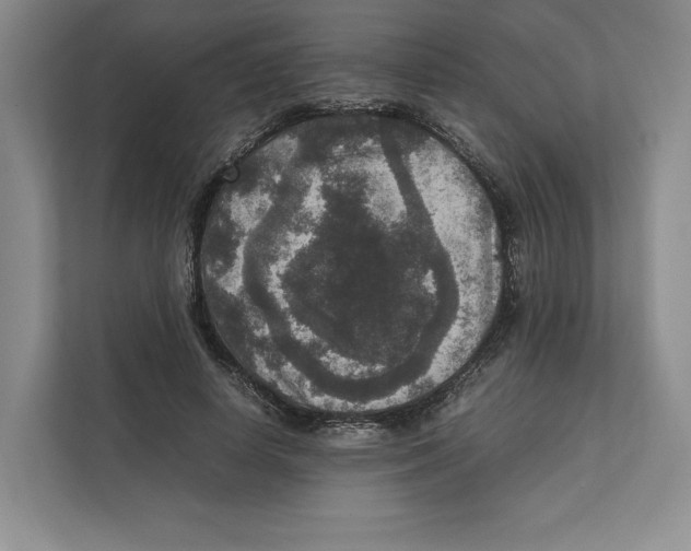 X0000111810642200908201111