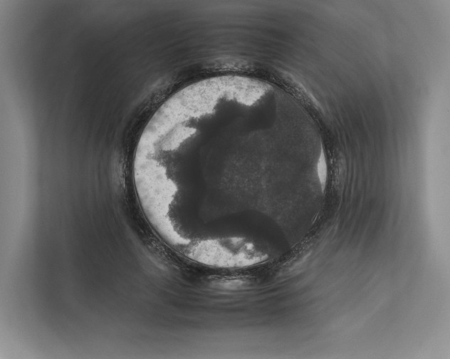 X0000111810643200908201111