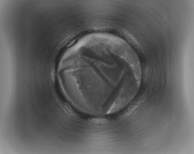 X0000111810644200908201111