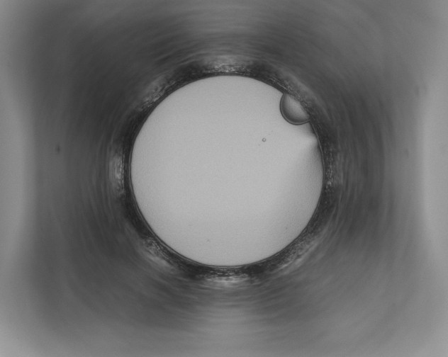 X0000111810646200908201111