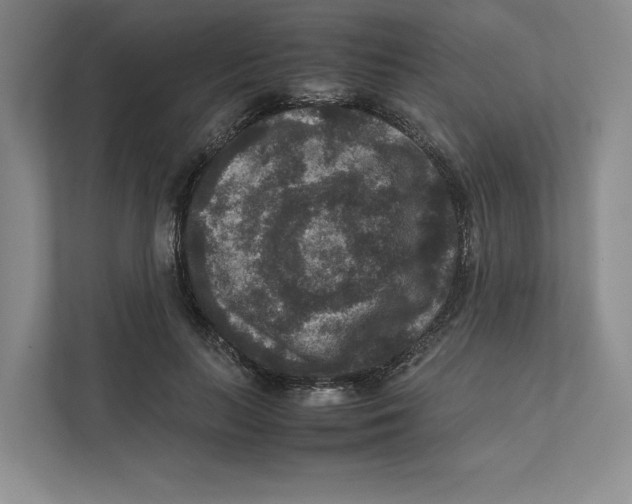 X0000111810647200908201111