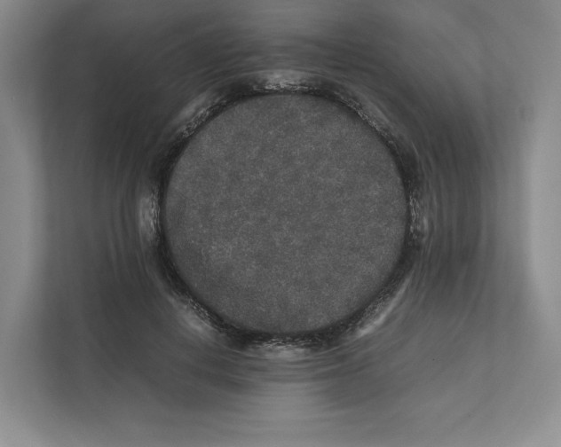 X0000111810648200908201111