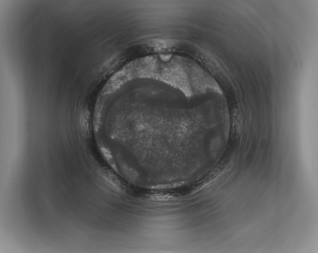 X0000111810650200908201111