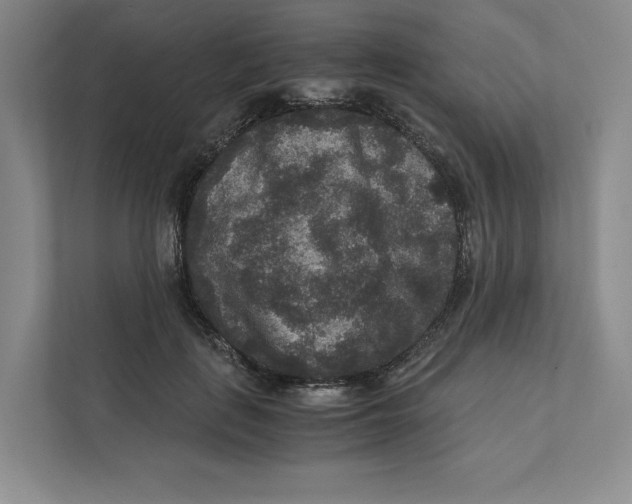 X0000111810651200908201111