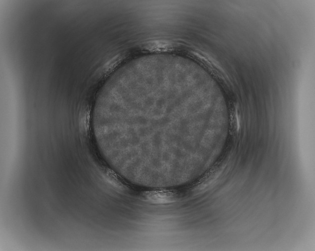X0000111810652200908201111