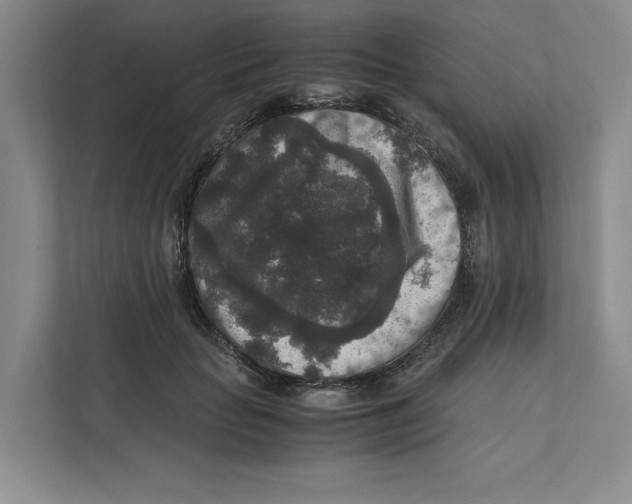 X0000111810653200908201111
