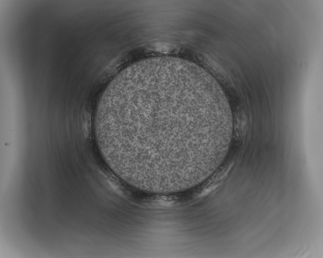 X0000111810656200908201111