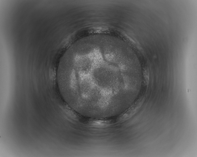X0000111810657200908201111