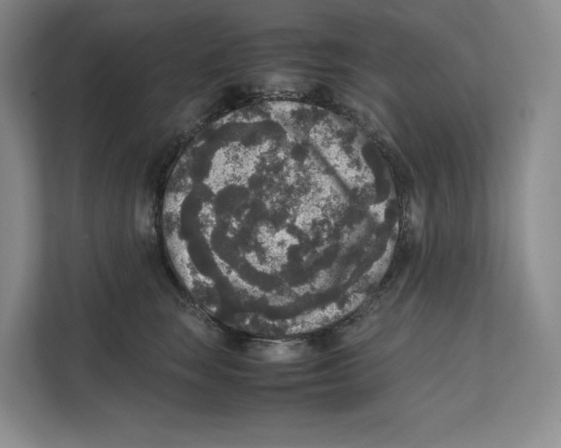 X0000111810663200908201111