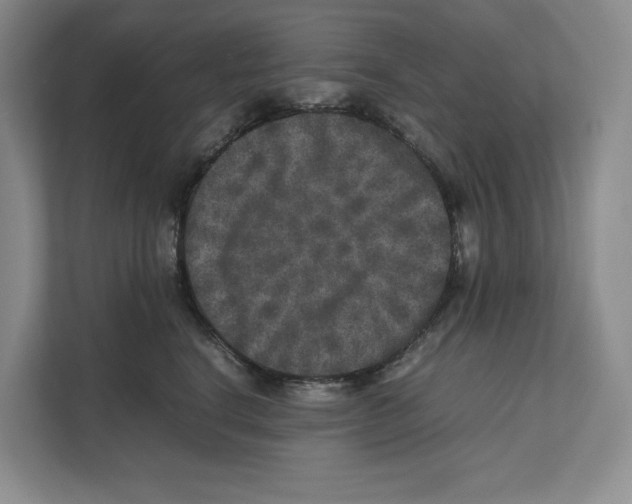 X0000111810664200908201111