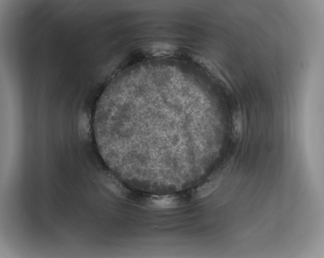 X0000111810667200908201111