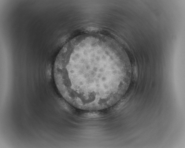 X0000111810668200908201112