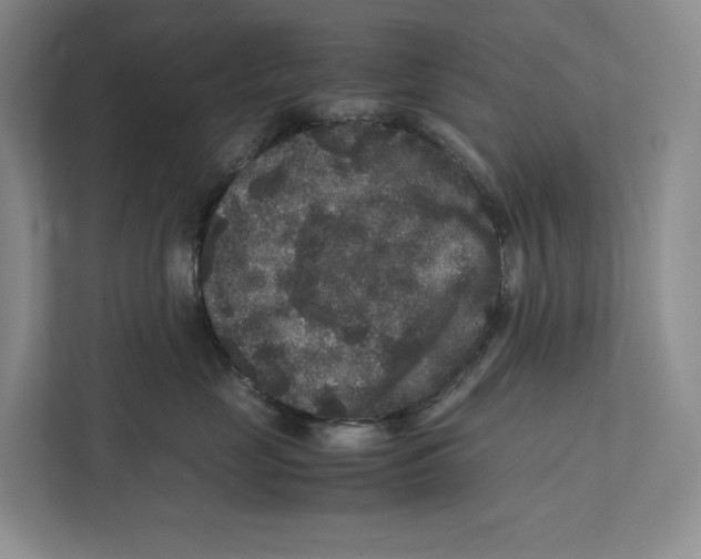 X0000111810669200908201112