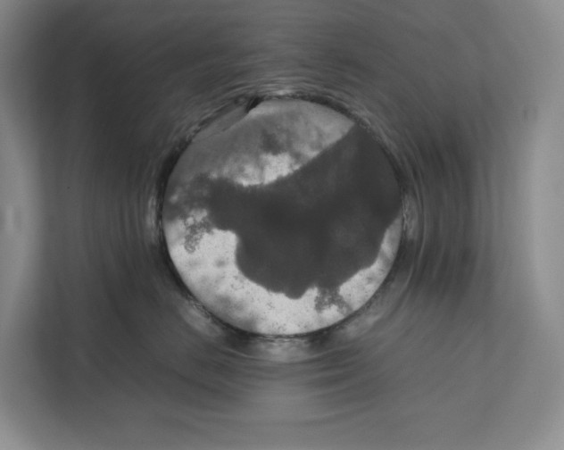 X0000111810670200908201112