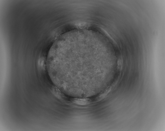 X0000111810671200908201112