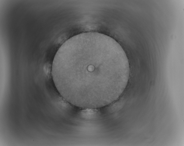 X0000111810672200908201112