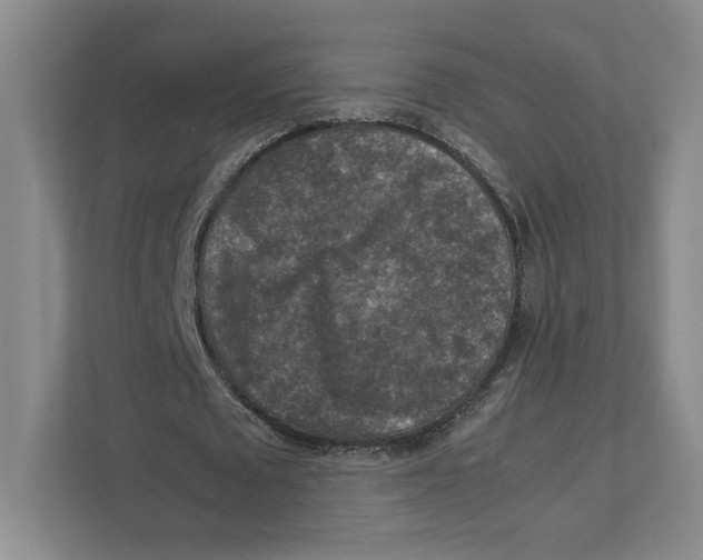 X0000111810673200908201111
