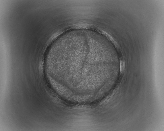 X0000111810675200908201111