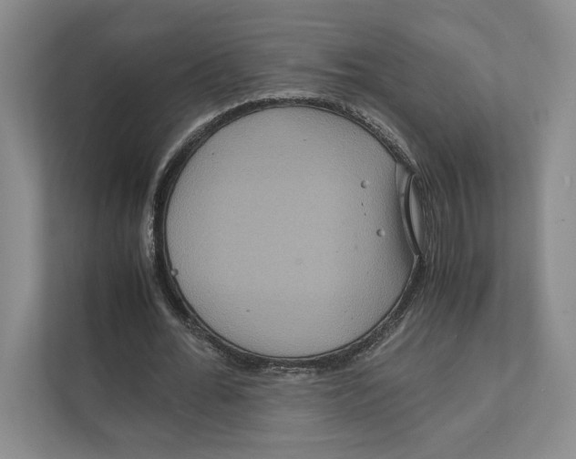 X0000111810676200908201111