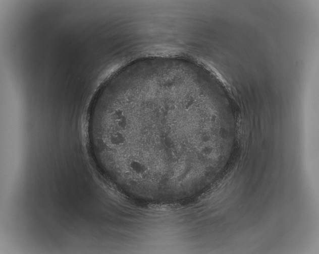 X0000111810679200908201111