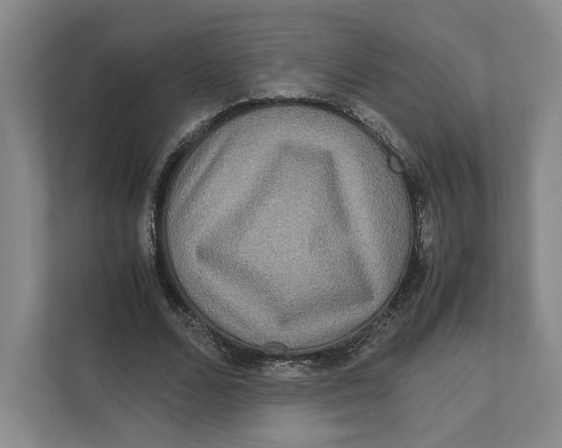X0000111810680200908201111