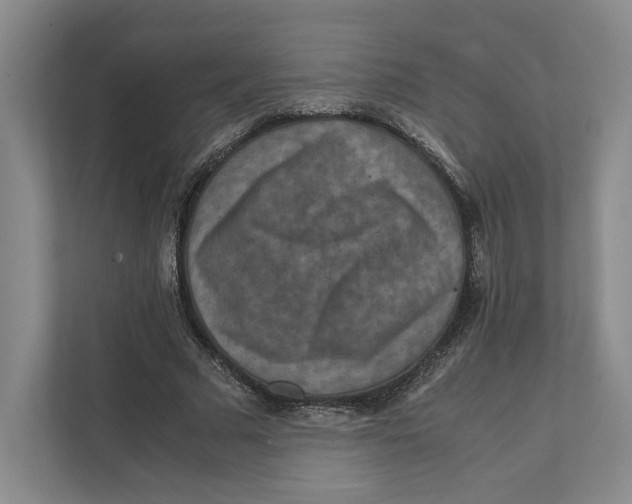 X0000111810681200908201111