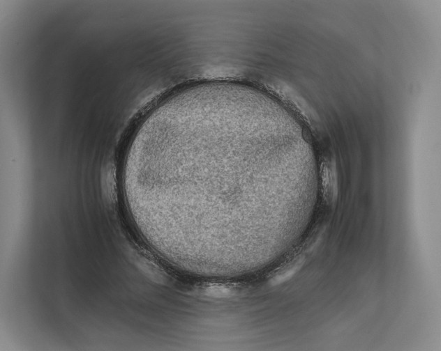 X0000111810684200908201111