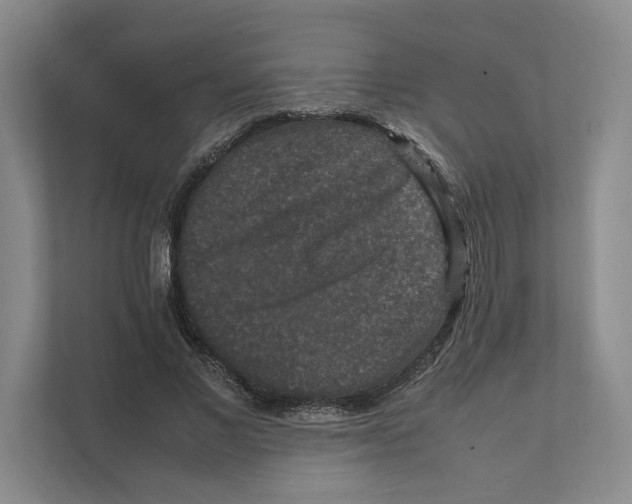 X0000111810685200908201111