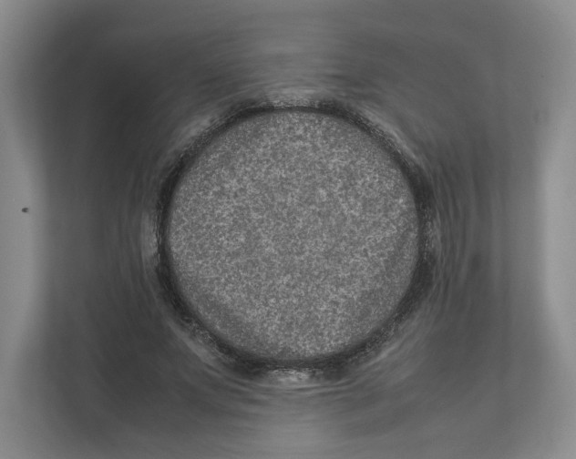 X0000111810687200908201111