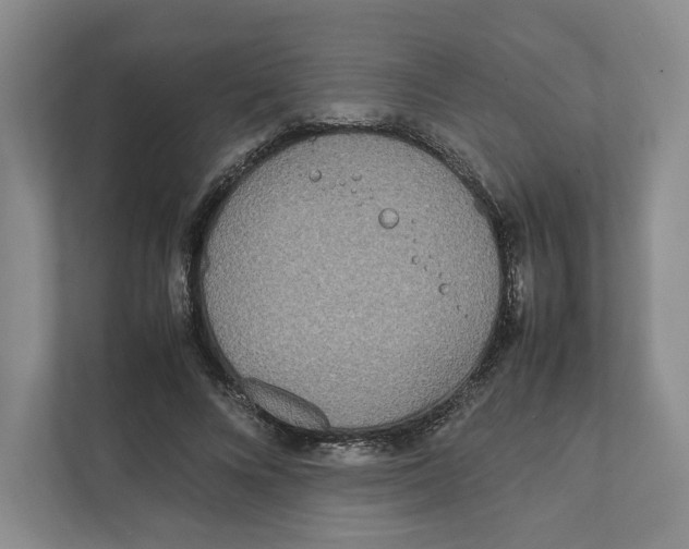 X0000111810688200908201111